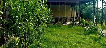 Гостевой дом "Оазис"