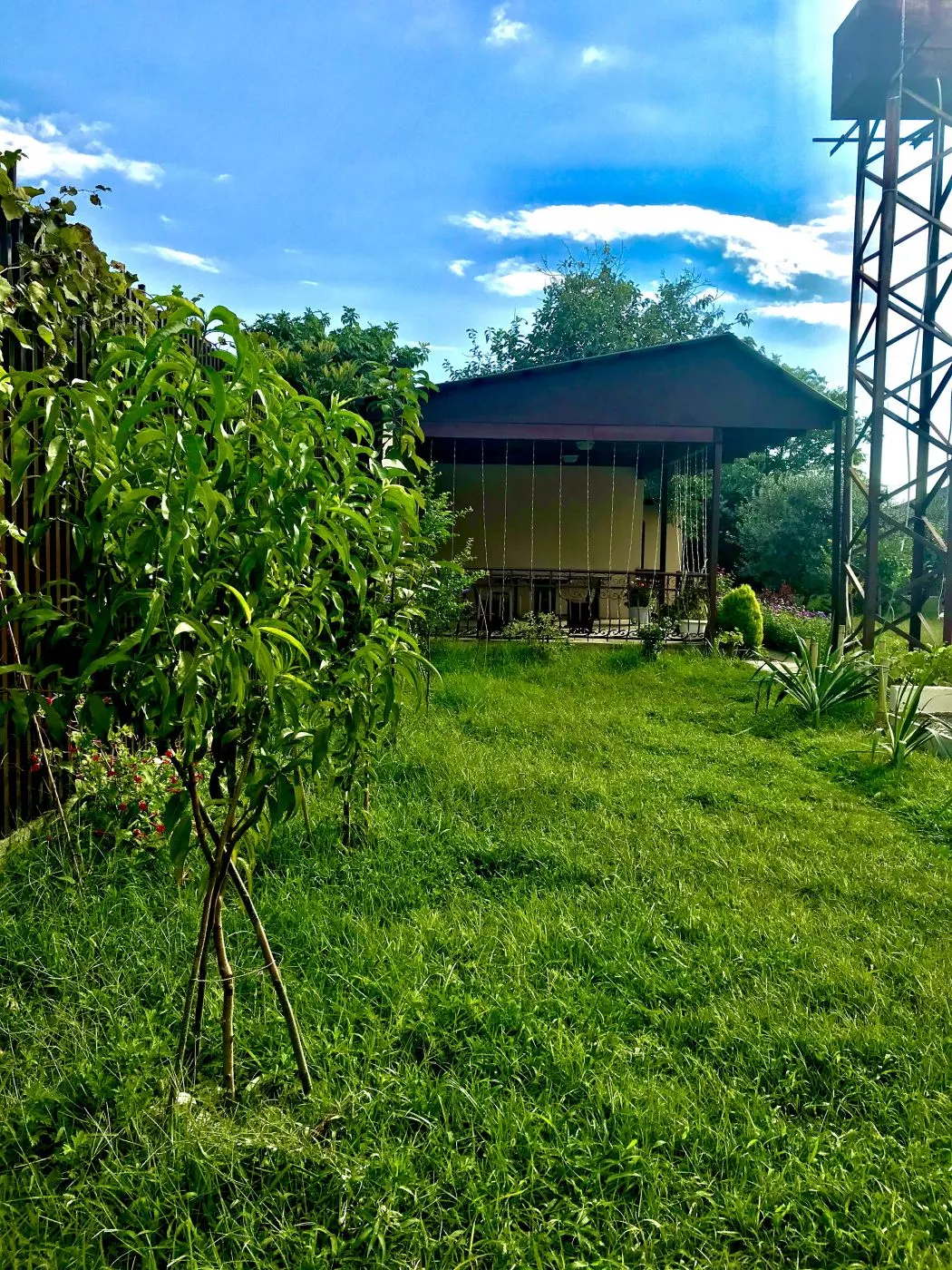 . Гостевой дом "Оазис". Сухум