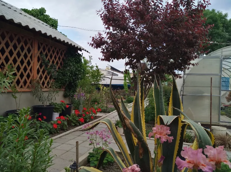 . Дом под ключ Цветочная 22. Судак . Дом под ключ Цветочная 22. Судак