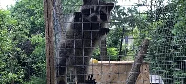 Частный сектор Заречная 1/в