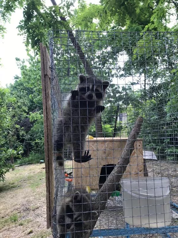 . Частный сектор Заречная 1/в. Дедеркой