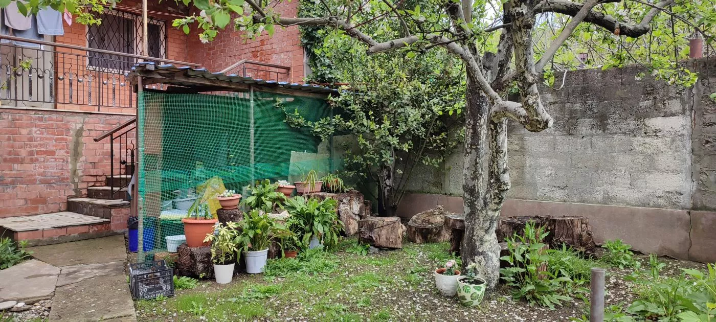 . Гостевой дом Сочи, ул.Юннатов 2а, "Мечта". Совет-Квадже . Гостевой дом Сочи, ул.Юннатов 2а, "Мечта". Совет-Квадже