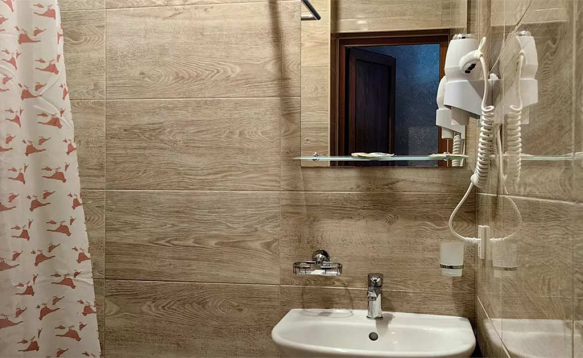 Стандарт двухместный. Гостевой дом «ГРИФ». Адлер