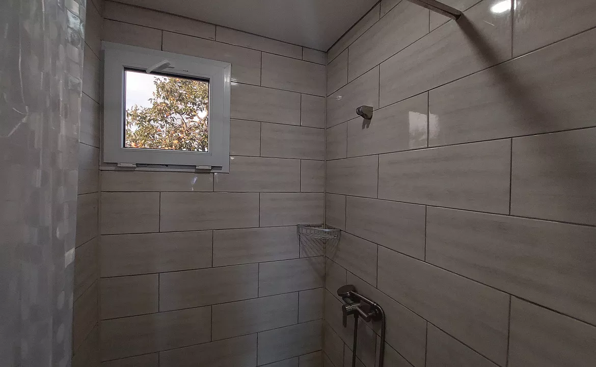 стандарт. Гостевой дом КАМЕЛИЯ. Пицунда