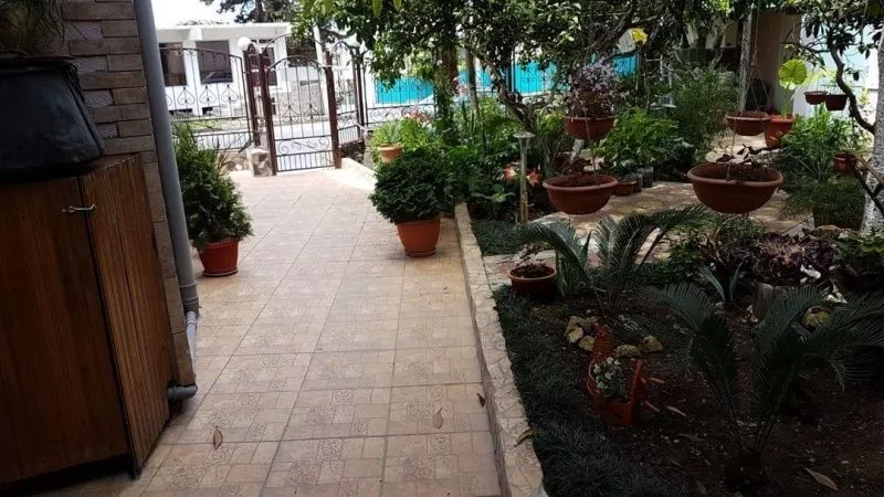 . Гостевой дом "Уютный дворик". Гагра