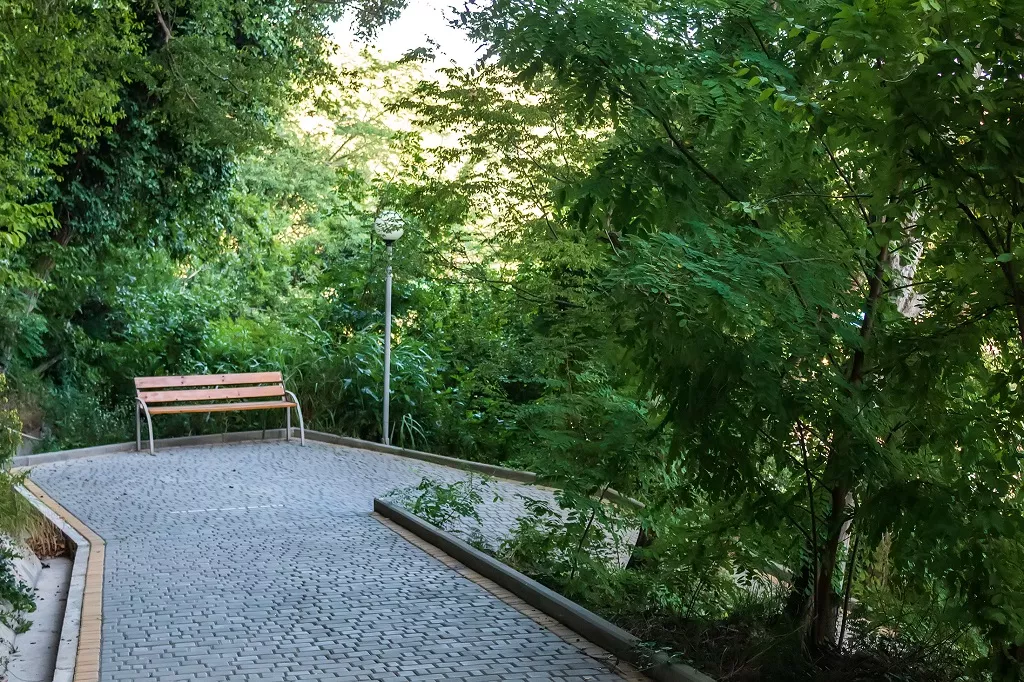 . Пансионат "Шеспи". Шепси