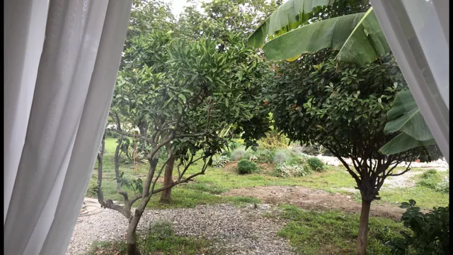 . Гостиница «Святая Абхазия». Пицунда