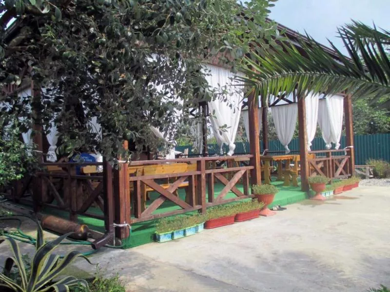 . Гостевой дом "У дед Самвела". Пицунда . Гостевой дом "У дед Самвела". Пицунда