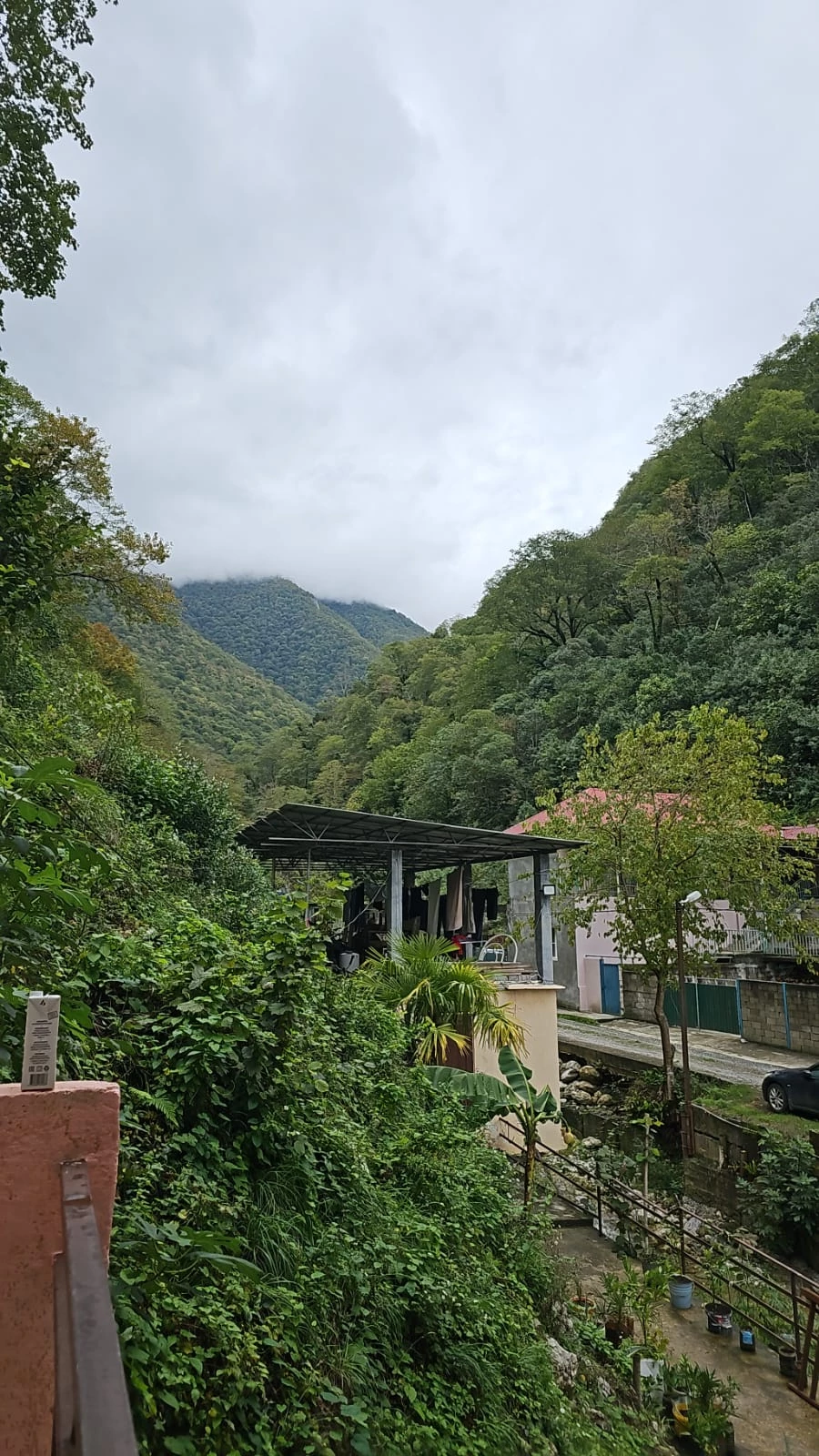 . Гостевой дом "Пантера". Гагра