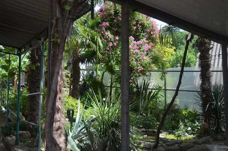 . Гостиница "У Александра". Лазаревское . Гостиница "У Александра". Лазаревское