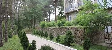 Детский Санаторно-Оздоровительный Комплекс "Мечта"       