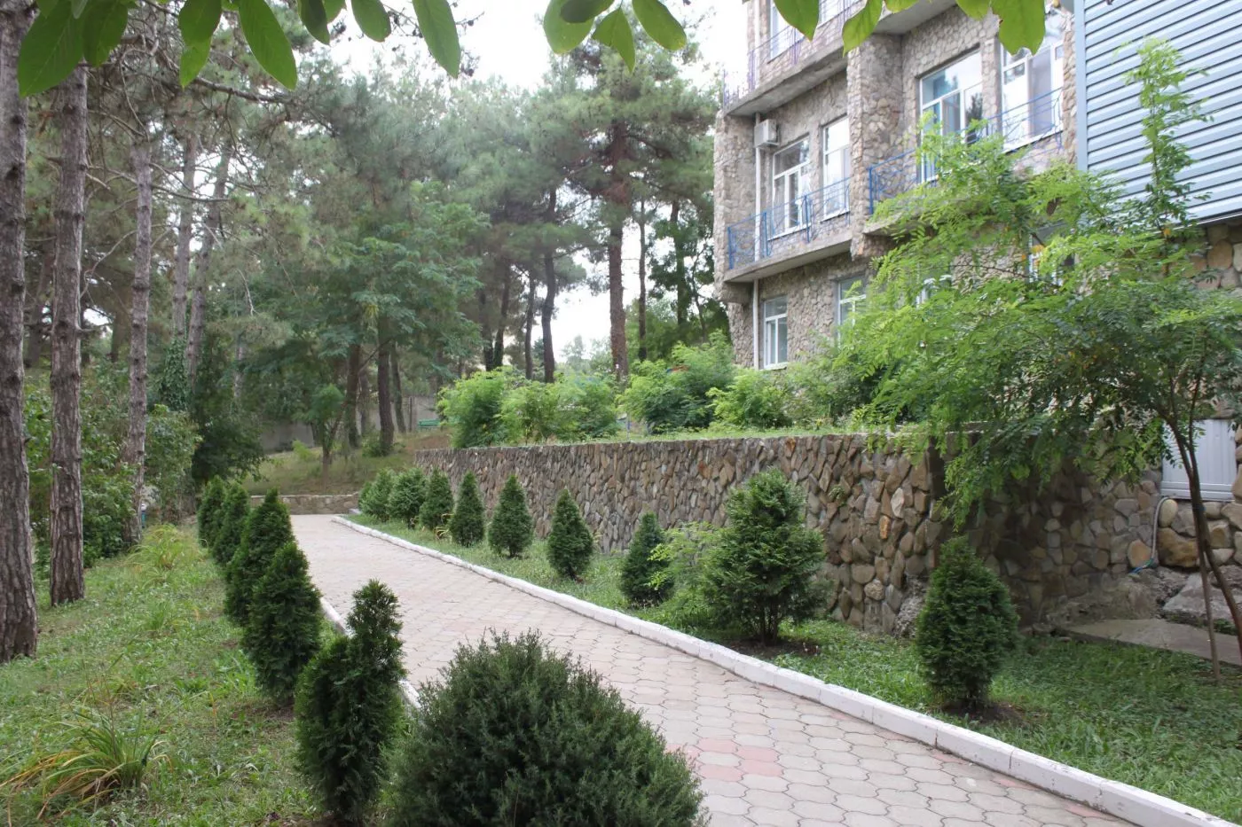 . Детский Санаторно-Оздоровительный Комплекс "Мечта"       . Джубга