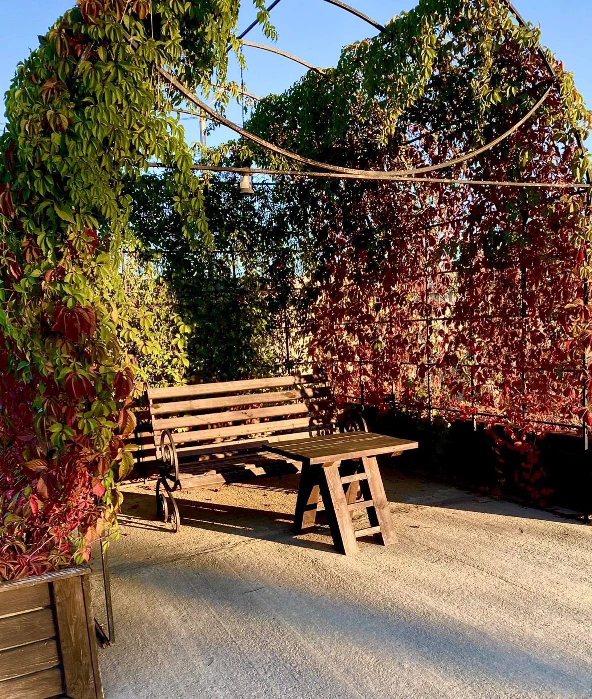 . База отдыха "Скурча". Сухум