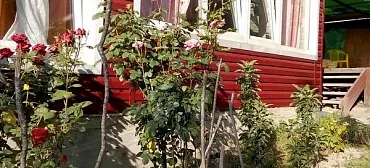 Гостевой дом "Семейный отдых" - Новомихайловский