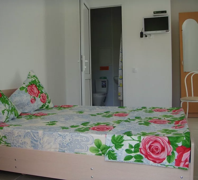 Стандарт. Частный гостевой дом Розовый дом. Солоники