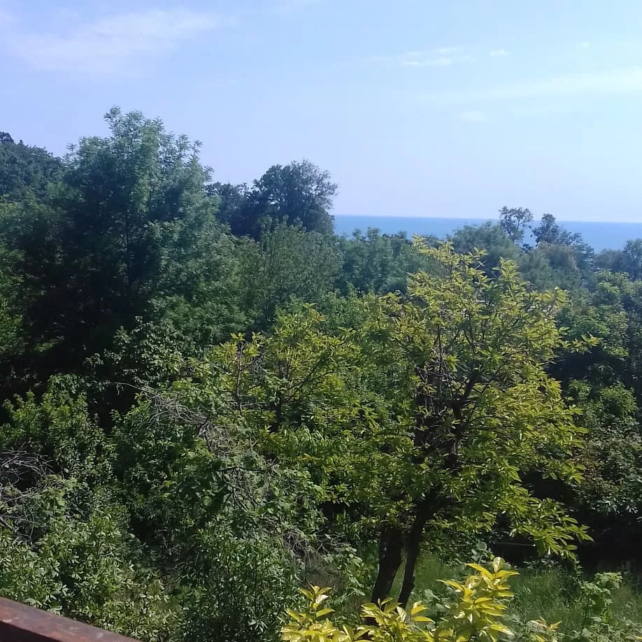 . Частный гостевой дом Звездное небо. Совет-Квадже . Частный гостевой дом Звездное небо. Совет-Квадже