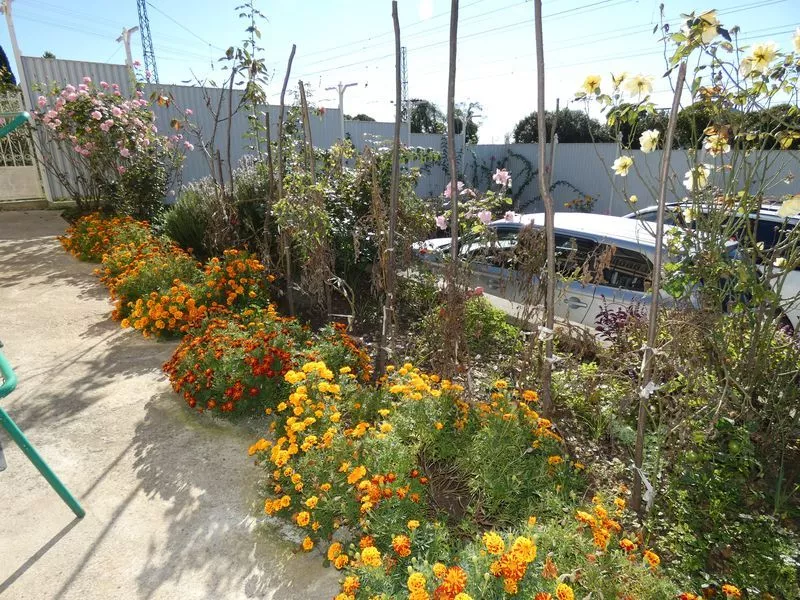 . Частный сектор  Братьев Джинджолия 36 . Новый Афон