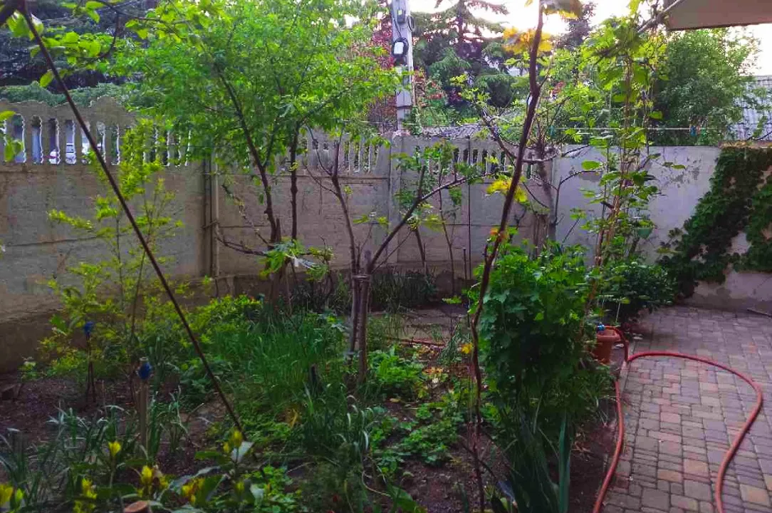 . Гостевой дом «Вояж». Алушта