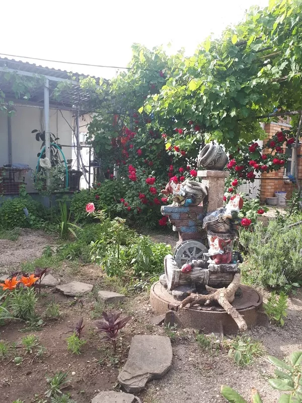 . Гостевой дом "Сокол". Должанская