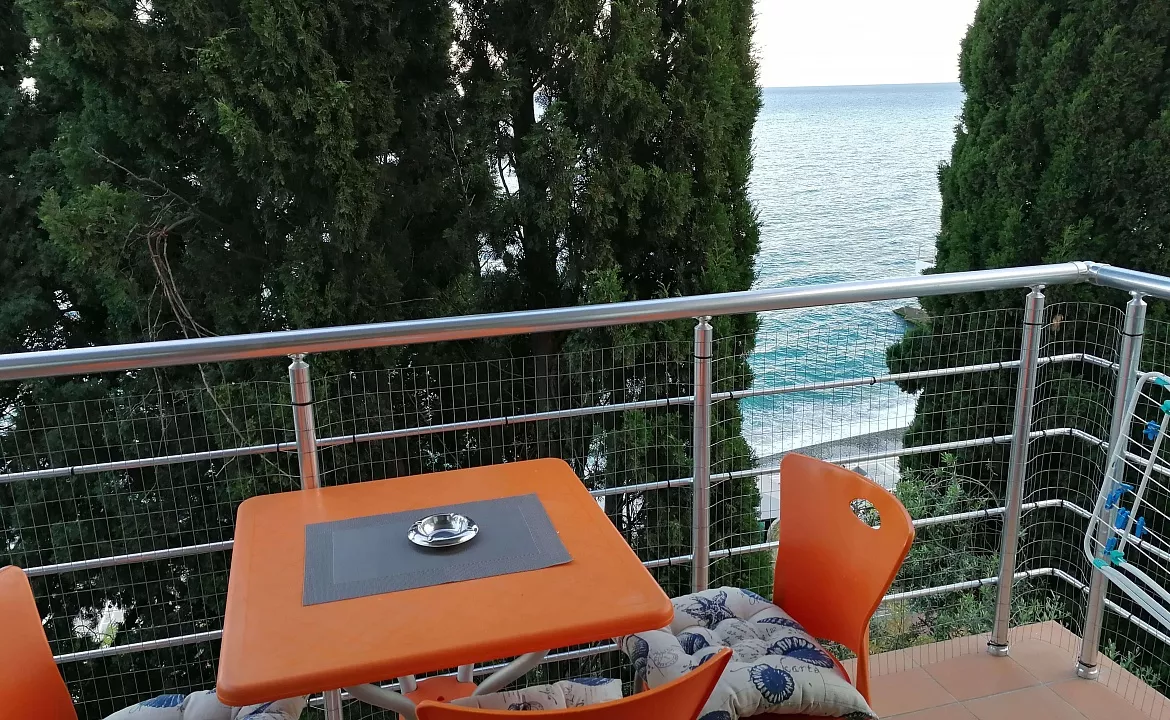 Белый. Гостевой дом ОАЗИС. Ялта Белый. Гостевой дом ОАЗИС. Ялта