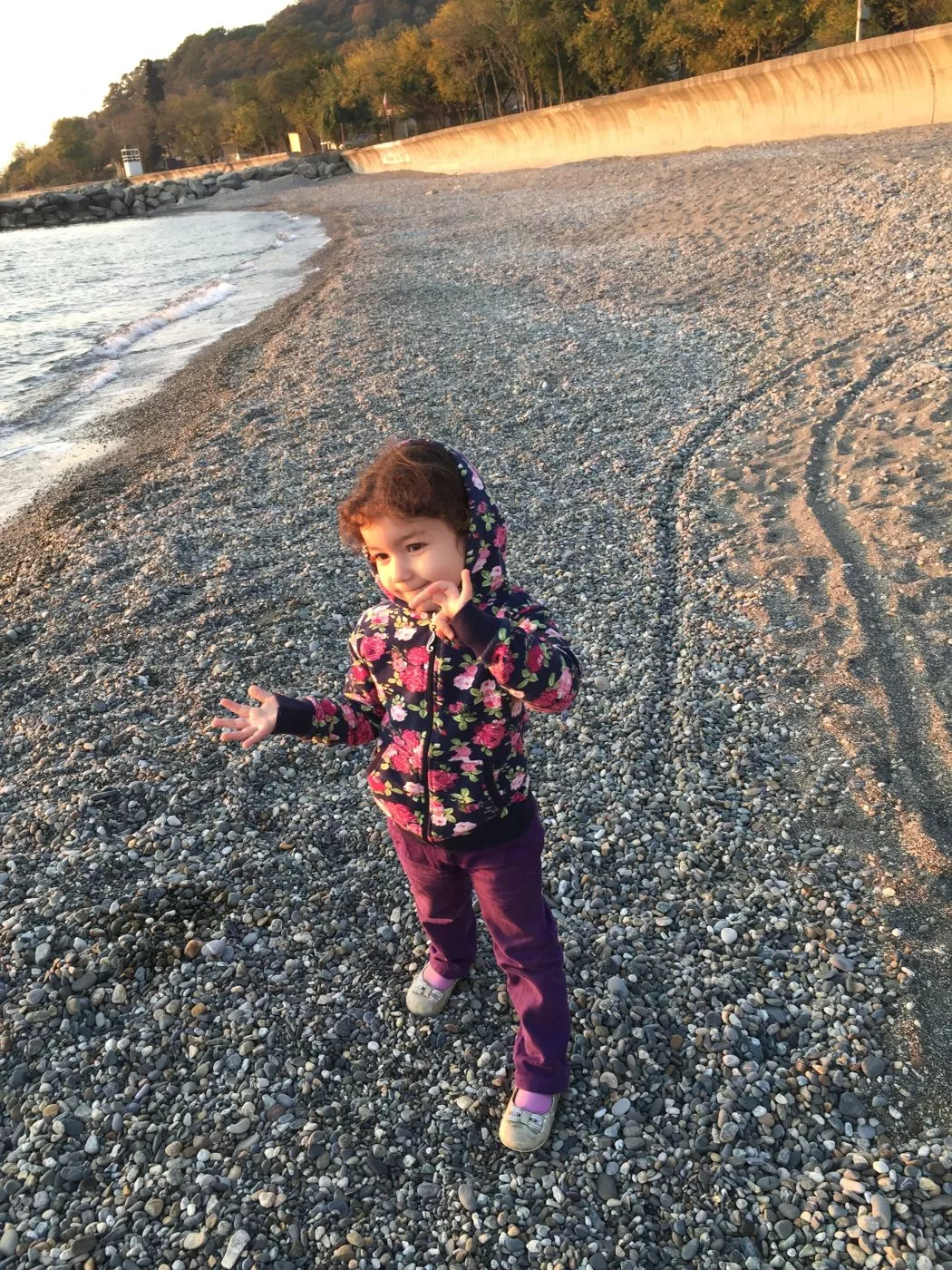 . Гостевой дом Рузанна . Лоо