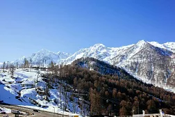 Отель «Приют Панды»