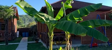 Гостевой дом "Лдзаа" Гостевой дом "Лдзаа"