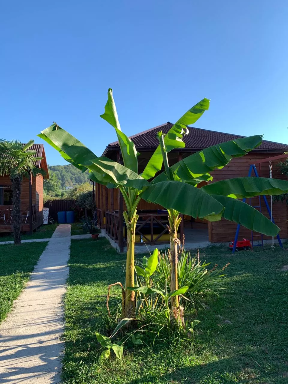 . Гостевой дом "Лдзаа". Пицунда