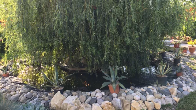 . Гостиница «Святая Абхазия». Пицунда