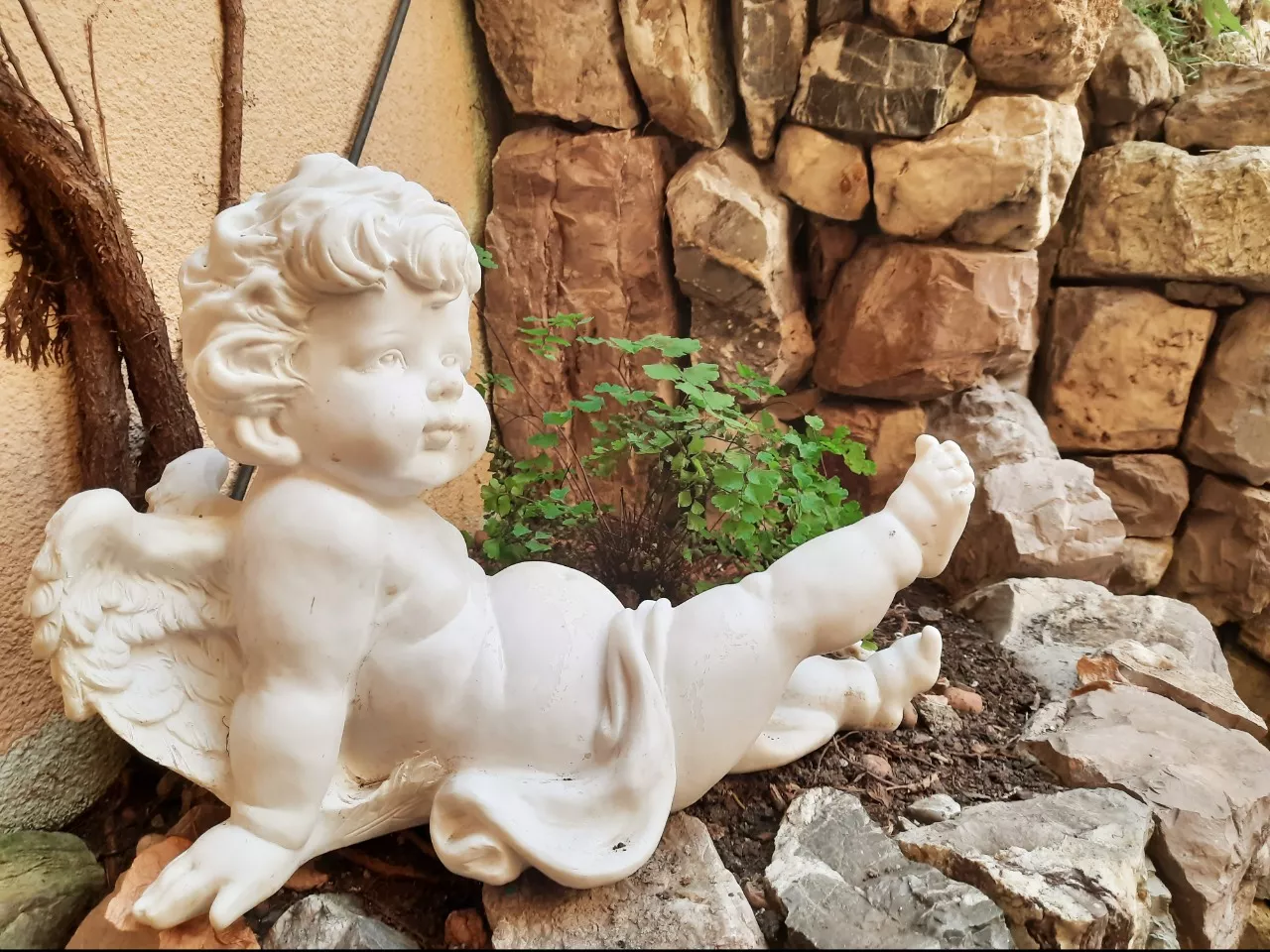 . Гостевой дом "Cветлана". Адлер