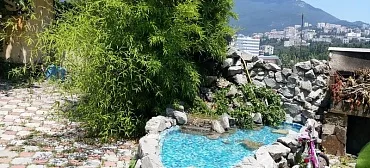 Гостиница Три дельфина