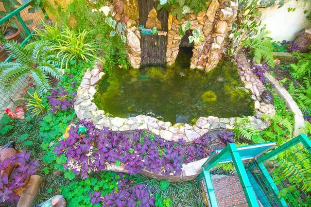 . Гостевой дом Светлана. Сочи