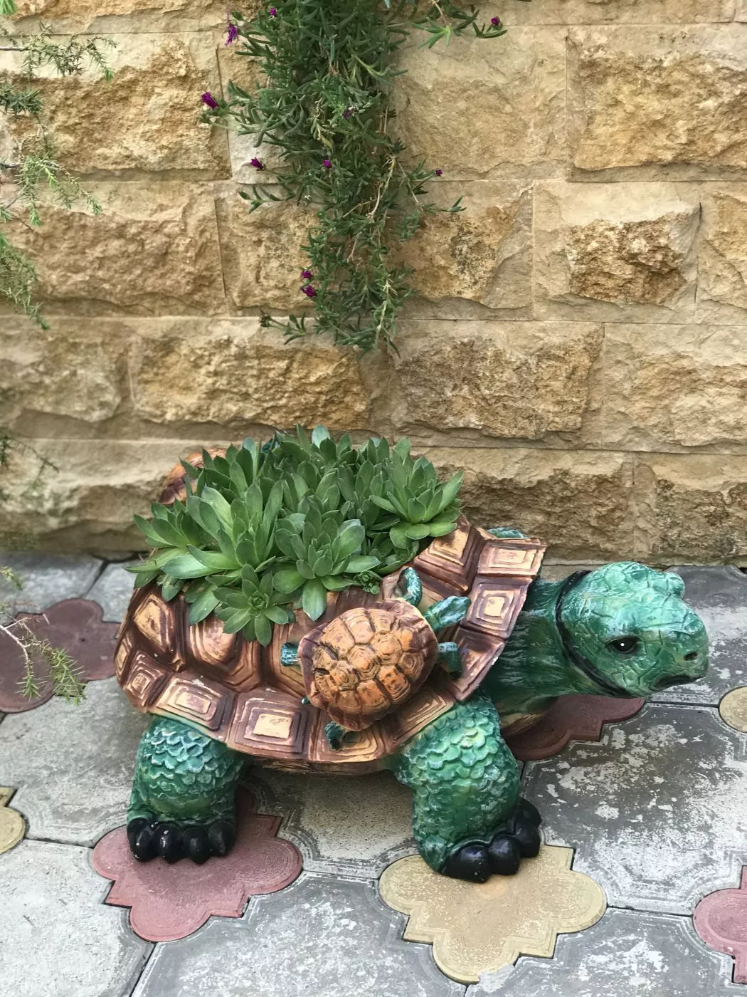 . Гостевой дом "Виктория". Лазаревское . Гостевой дом "Виктория". Лазаревское