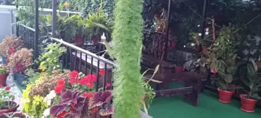 Гостиница "Орлинка"