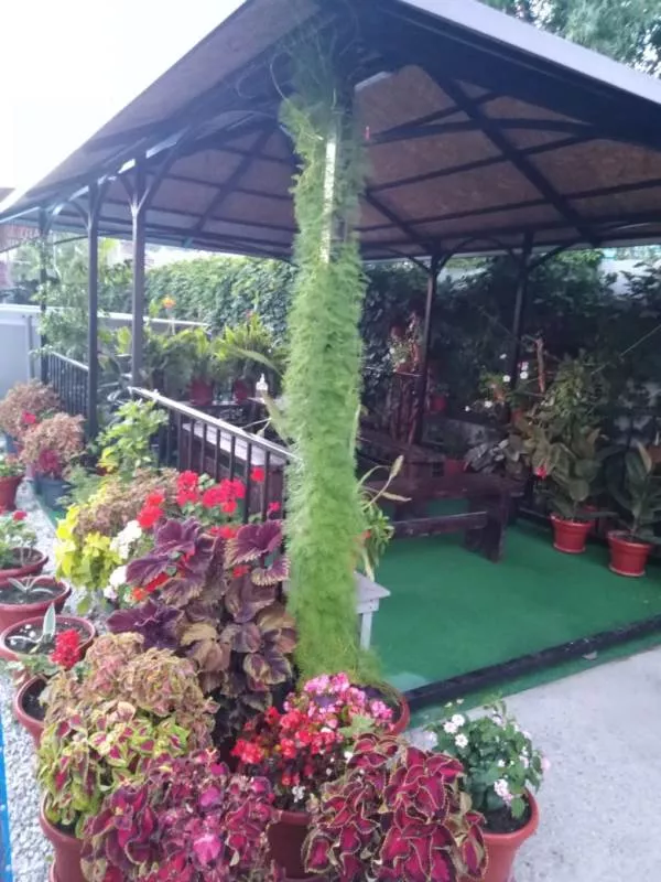 . Гостиница "Орлинка". Лермонтово