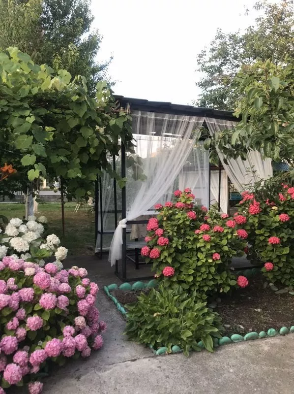 . Гостевой дом У Тюльпанового дерева. Головинка