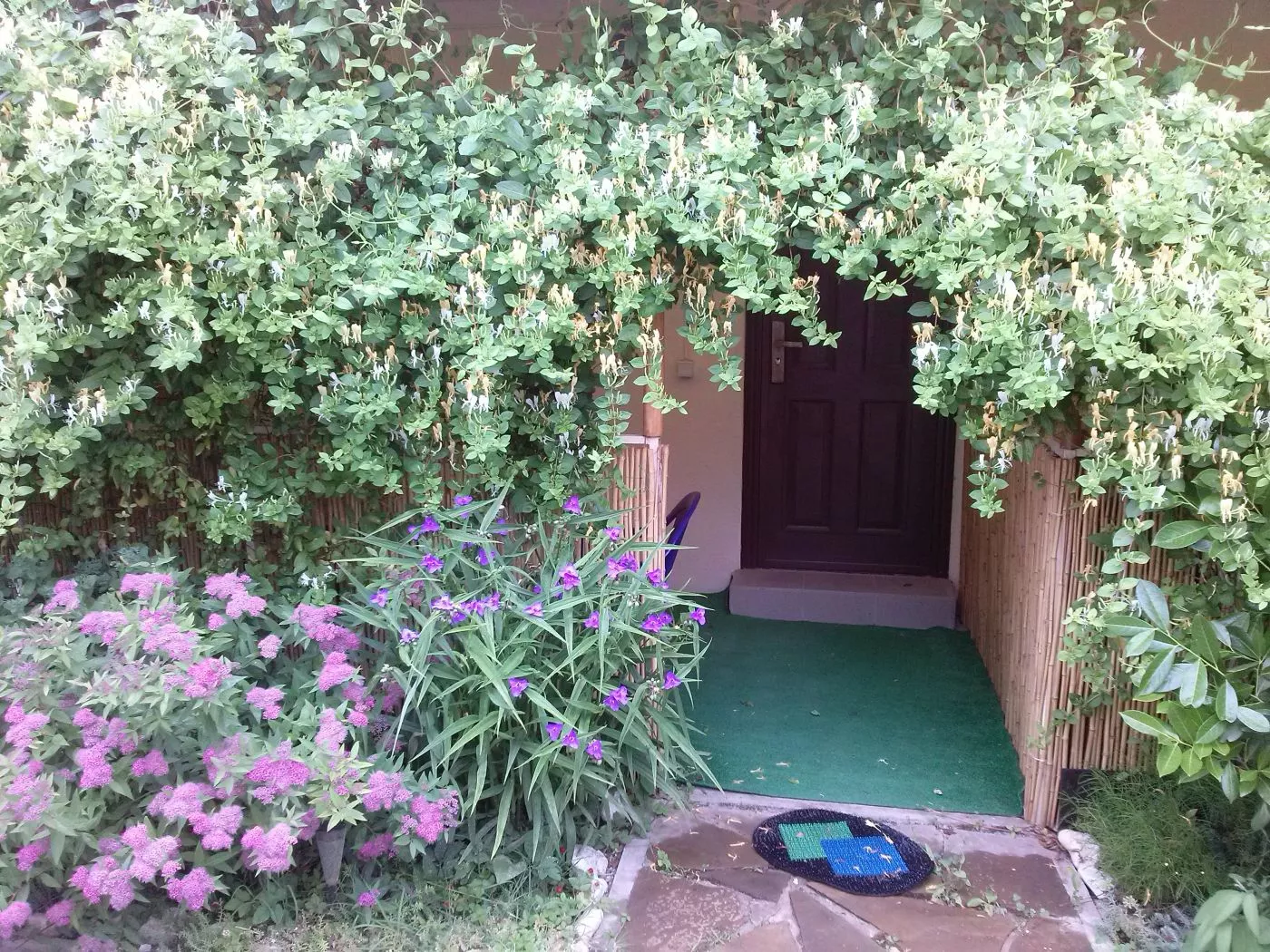 . Гостевой дом Орловка. Севастополь