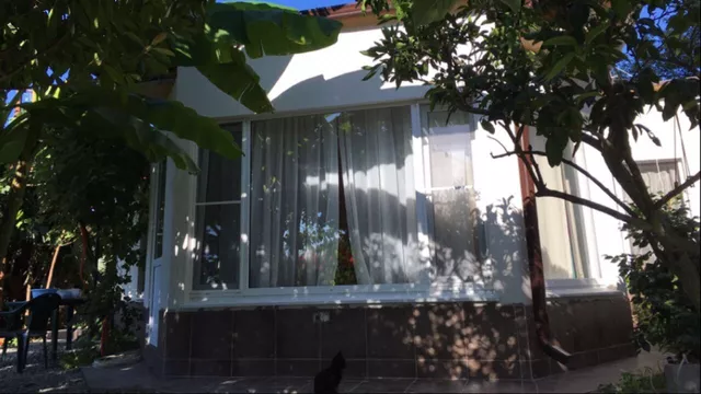 . Гостиница «Святая Абхазия». Пицунда