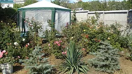 Частный сектор "Solemar" 