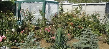 Частный сектор "Solemar" 