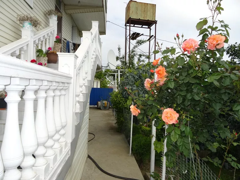 . Частный сектор "Анжелика". Адлер