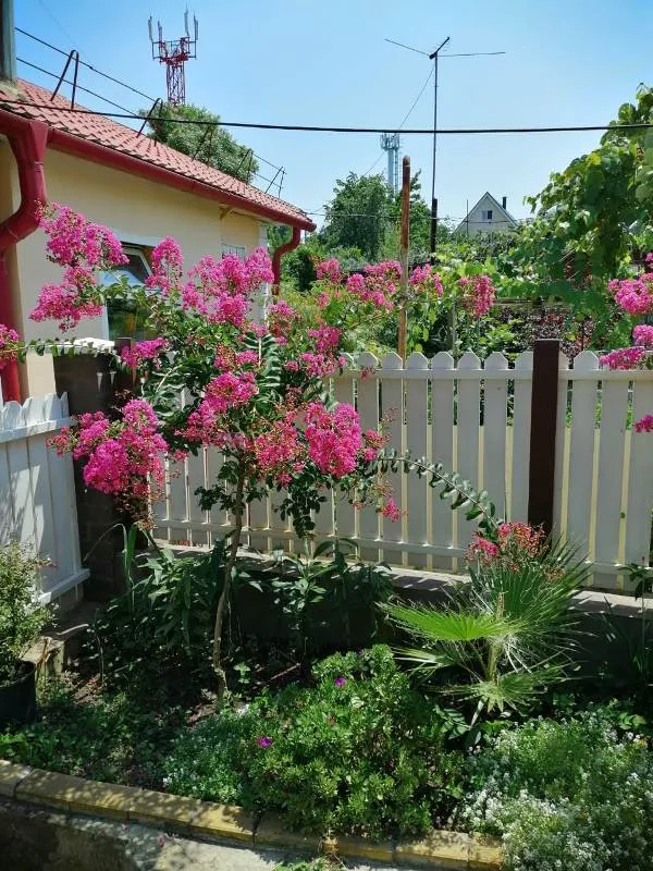 . Частный сектор "Дом у моря" - Кудепста. Кудепста