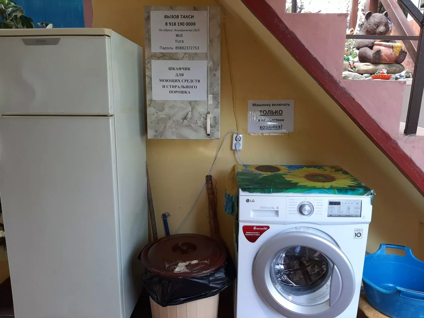 . Частный сектор "Райский уголок" - Хоста. Хоста