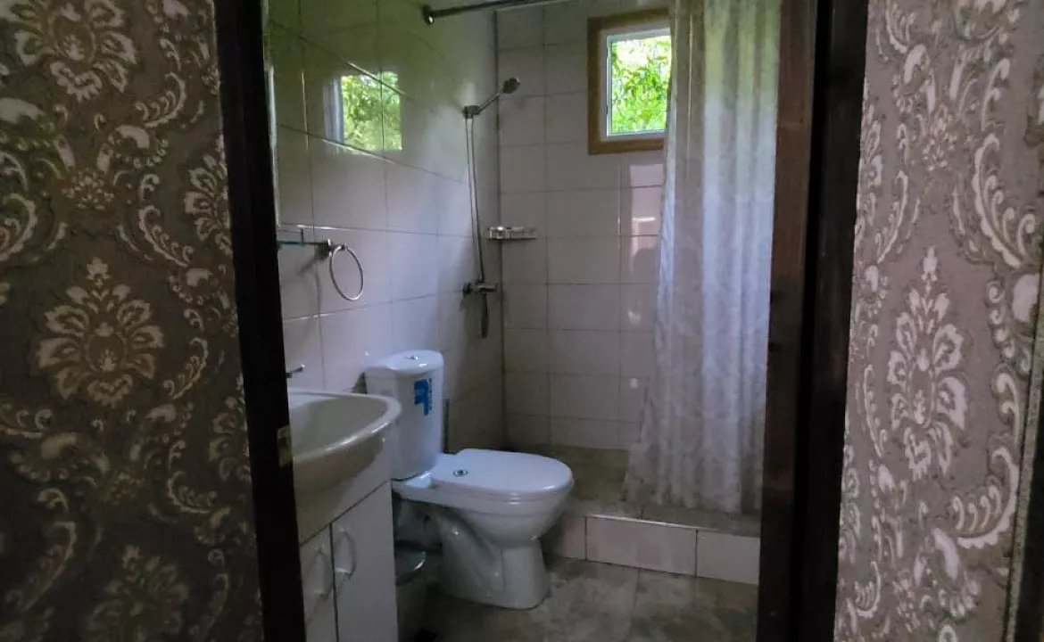 стандарт 2-хместный. Гостевой дом КАМЕЛИЯ. Пицунда