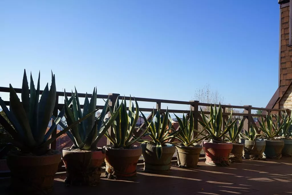 . Отель "Виктория" -  п. Лазаревское. Лазаревское