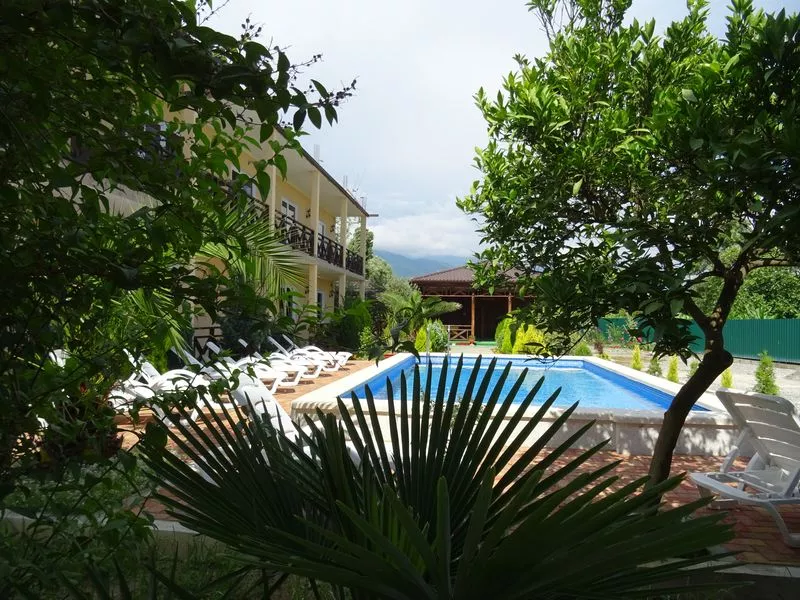 . Гостевой дом "У дед Самвела". Пицунда . Гостевой дом "У дед Самвела". Пицунда