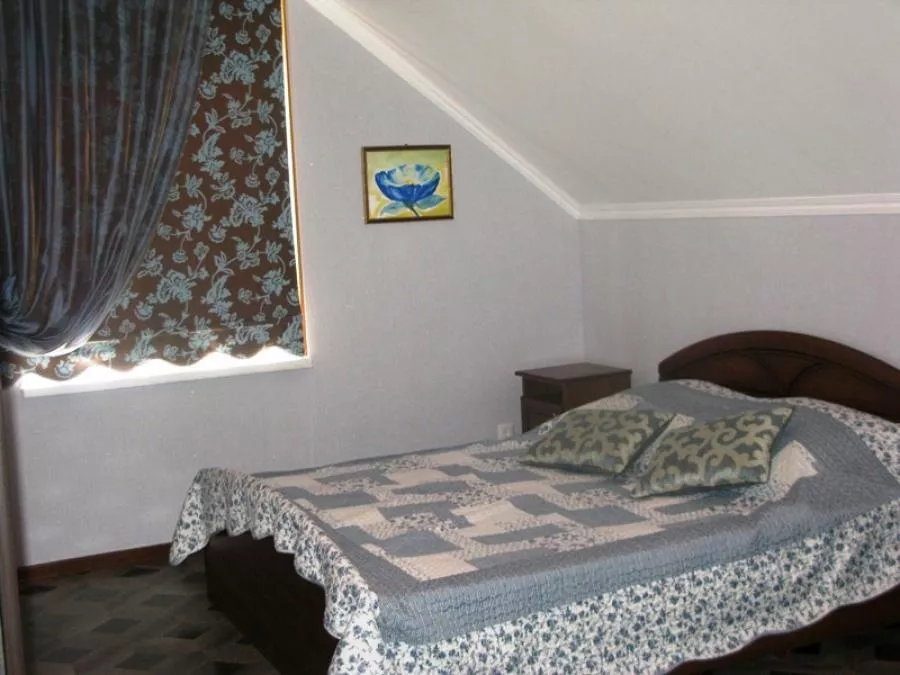 2-х местный. "Стрекоза". Сукко