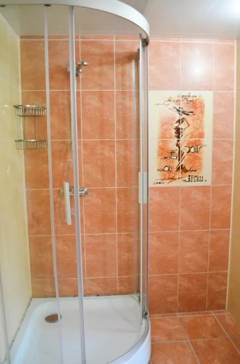 . Отель Отель Альпийский двор. Красная Поляна