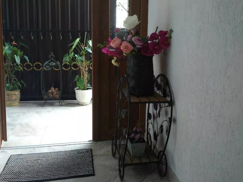 . Гостевой дом София-Виктория. Гагра