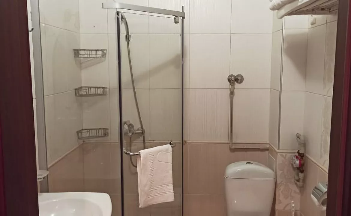 Апартаменты 2х-комнатные . Апарт-отель "Афалина"     . Ольгинка